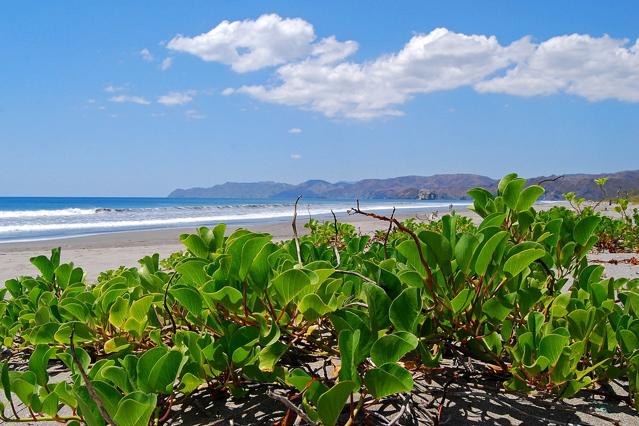 Santa Rosa National Park